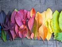 The Case for a Diversified Asset Allocation