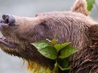 Consider These 3 Bear ETFs as Treasury Yields Climb