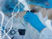 Biotech Rebound Could Boost QQQS