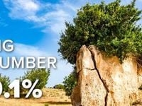 Will Strong Earnings Boost Investor Confidence?