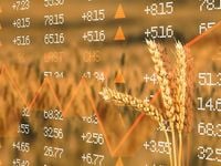 The Case for Bullish Wheat Prices Continues to Build