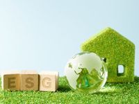 ESG Not Perfect, but Still Has Long-Term Merit, Says Expert