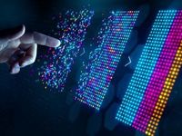 2Q 2024 Market Insights: America's New Pastime