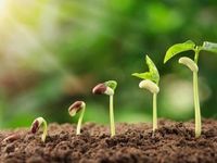Why Fundamental Research Can Set Growth Investing Apart