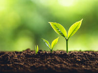 Growth May Be Stronger Than It Appears