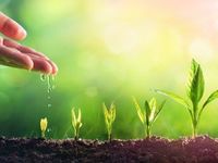 With New Inflation Data, Consider Small Cap Growth Options