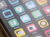 Apple: Tempting or Overripe?