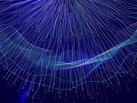 YieldMax Rolls Out SNOY for Income