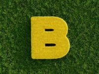 B-Rated Bond Investing May Capture High Yield Momentum