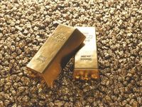 Investors Express Support for Gold