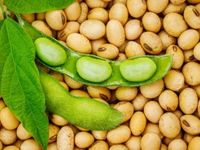 Chinese Demand May Help Soybean Prices Stay Afloat
