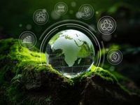 A Guide to Carbon Allowance Portfolio Allocation
