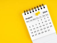 Market Valuation, Treasury Yields - August 2024