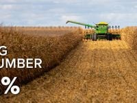 A Fall Harvest?