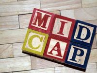 Consider Trading Midcaps as Rate-Cutting Cycle Begins