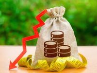 The Fixed Income Symposium Aids Rate Cut Navigation