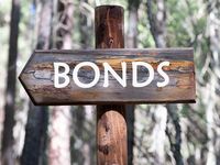 Bonds Revival Gains Momentum