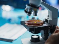 SBIO Laps Tech Rivals Over 1 Year