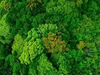 Greenwashing Focus Not Indictment of ESG Investing