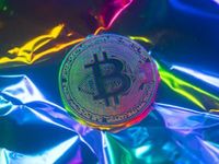 Crypto Bulls: Go LMBO or Get REKT