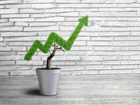Look to Active Investing for Post-Election Market Growth