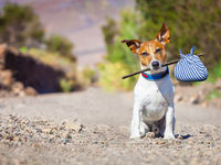 Here’s How to Make Your Sabbatical a Reality