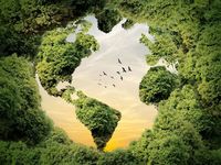 Clients Want ESG? These Funds Still Stand Out
