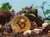 Bitcoin Rally Powering Crypto Stocks