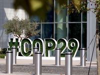 COP29 Works to Move the Needle on Carbon Credits