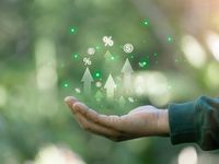 Holding Cash? Consider Active Fixed Income Investing