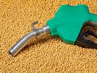 Increased Biofuel Demand Favorable for Soybean Prices