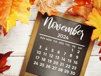 Recapping the Markets in November