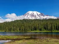 KRBN Expands to Washington Carbon Market