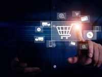Inside the Consumer Price Index: November 2024