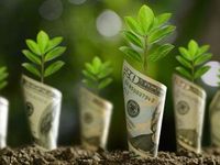 Growth Strategies Expected to Broaden in 2025