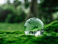 Carbon Investing Under a Trump Administration