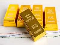 Various Factors Support a 2025 Gold Rally