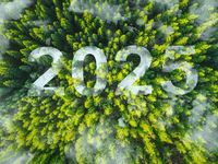 5 Fundamental Drivers of 2025 Carbon Markets