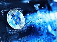 Crypto Survey Reveals New Insights