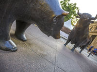 Bull vs. Bear: Using Sector ETFs to Make Bets
