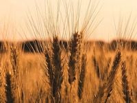 High-Yield Prospects: January 22 Edition