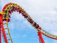 A Rollercoaster Finale to 2024