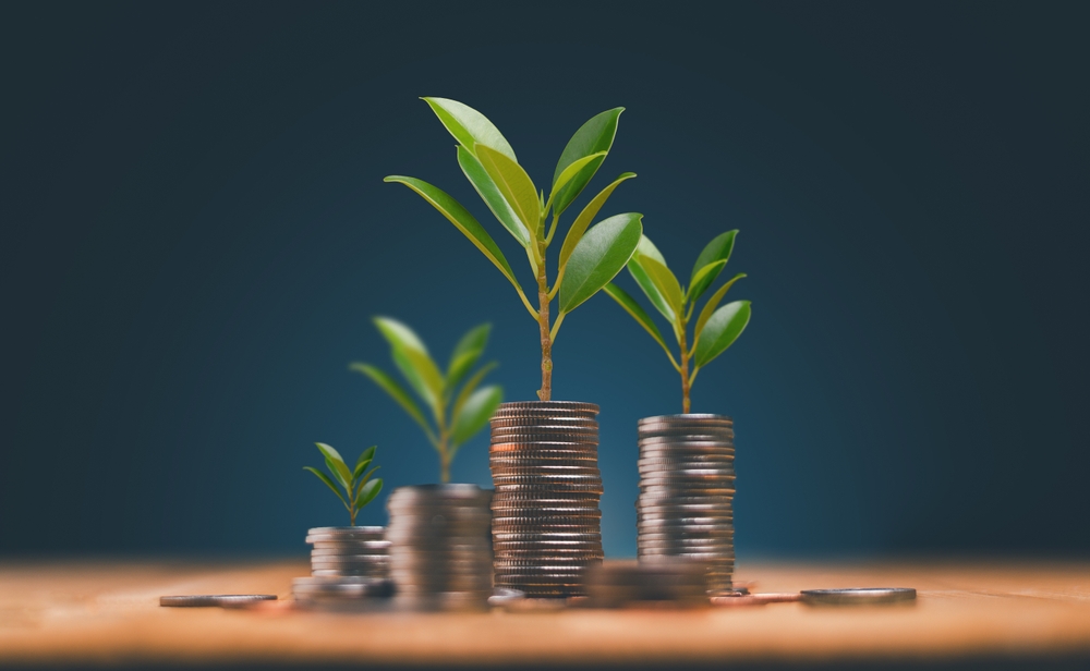 One Active Strategy, Two Income Sources With PAPI