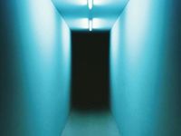 Narrow Markets Are the Exception, Not the Rule