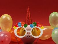 CANQ Celebrates 1-Year Anniversary