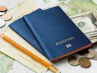 International Equity ETFs Showcase Resilient Results