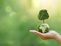 Rebound Potential From Renewable Energy Stocks