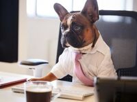 IDOG Poised for a Boost With These 3 Stocks