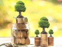 Green Bond Issuers Are Better at Reducing Emissions