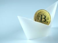 Bitcoin Turbulence Showcases Risk Management Advantages